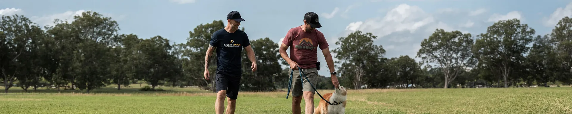 Tim from Diverse Dogs providing private coaching